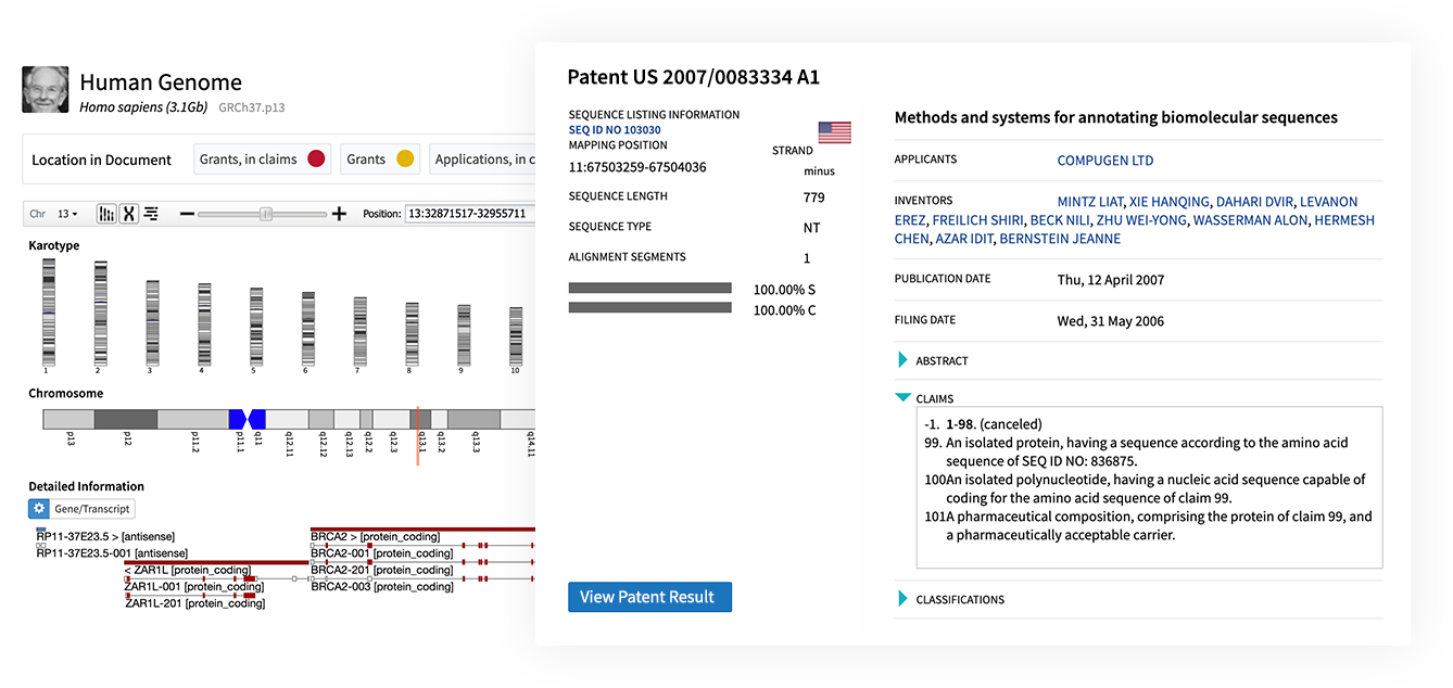 PatSeq Analyzer