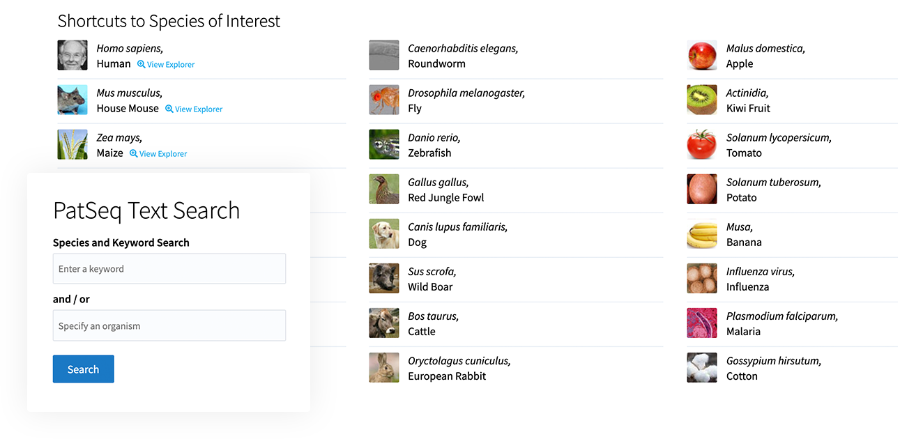 PatSeq Text-Search
